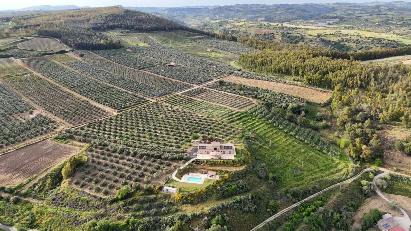 Villa Virginia Piazza Armerina Esterno foto